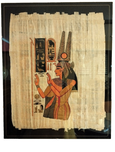 Papyrus ägypten - papyrus,